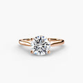 Completed Ring (Europe Size 54.00)